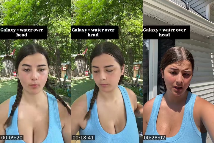 TikTok live: Flying chickens by @_ruth_kimberly_