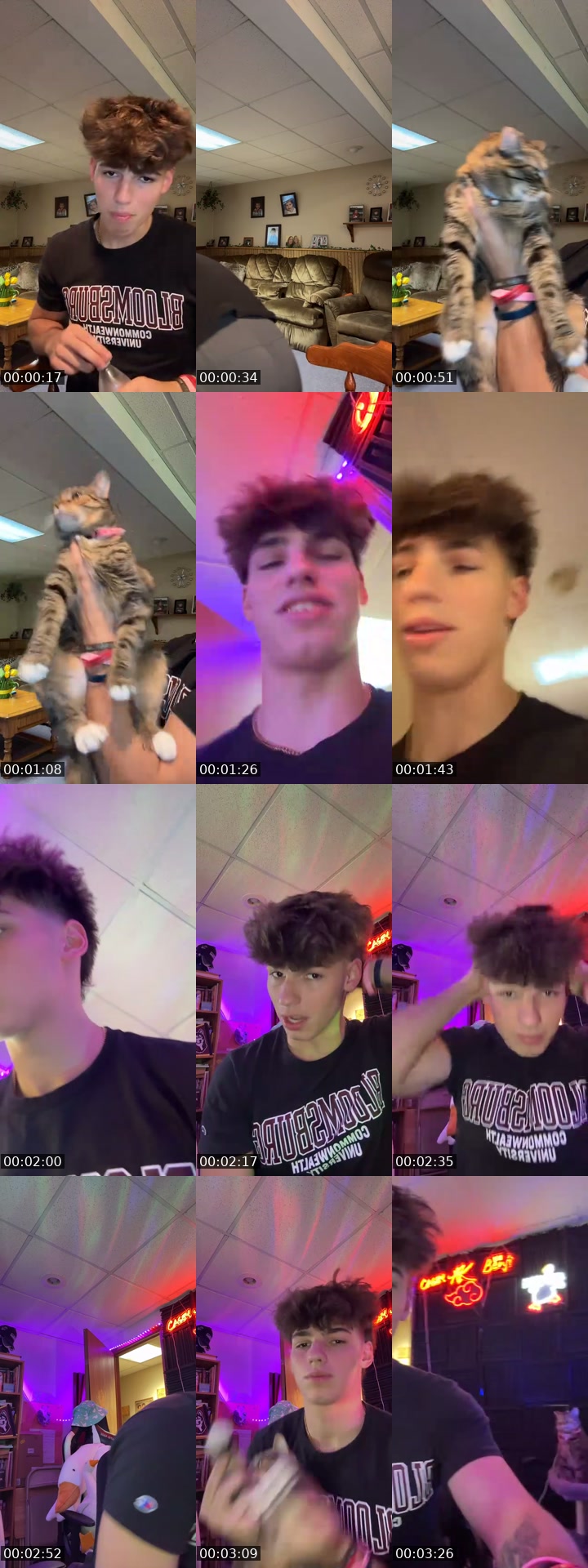 TikTok live: hi hi by @ajluvshrek