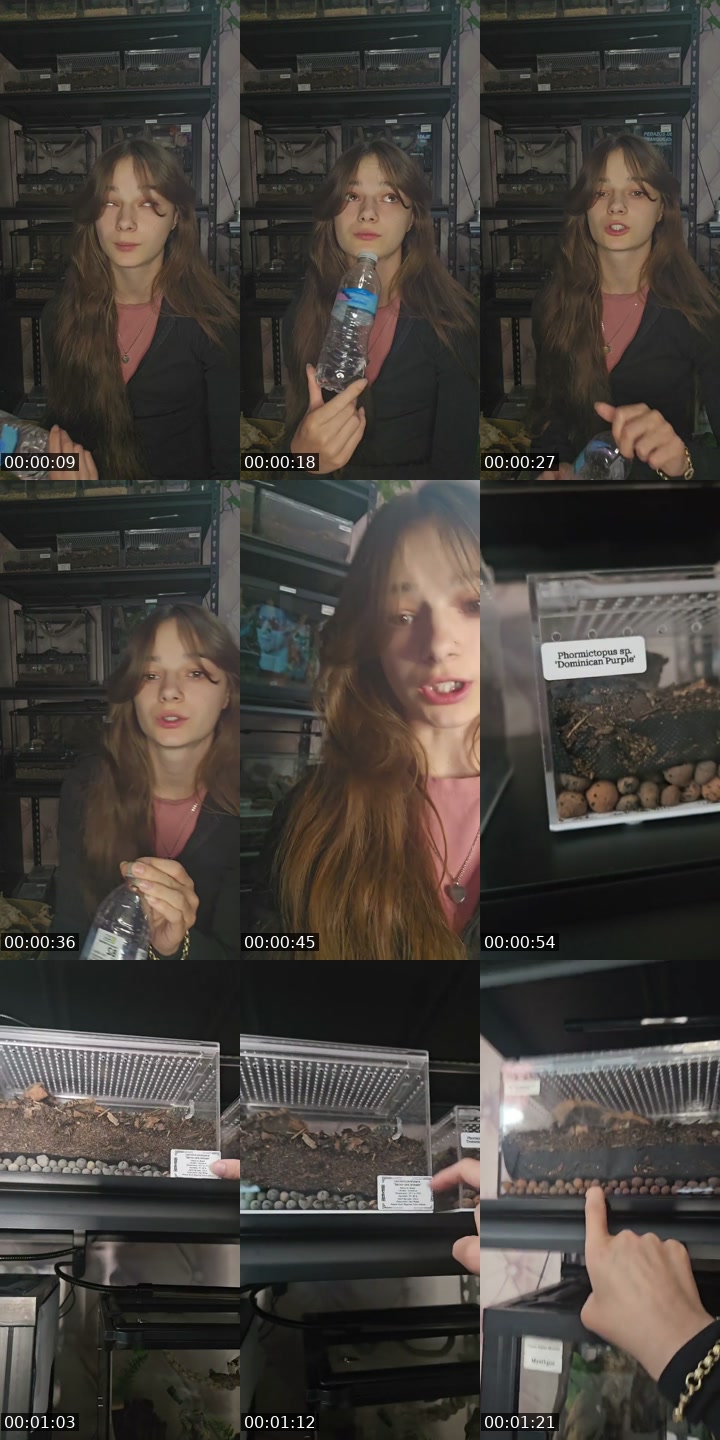 United States TikTok live: WARNING EXOTIC PETS-(I'm 19) by @skys.animal.zoo