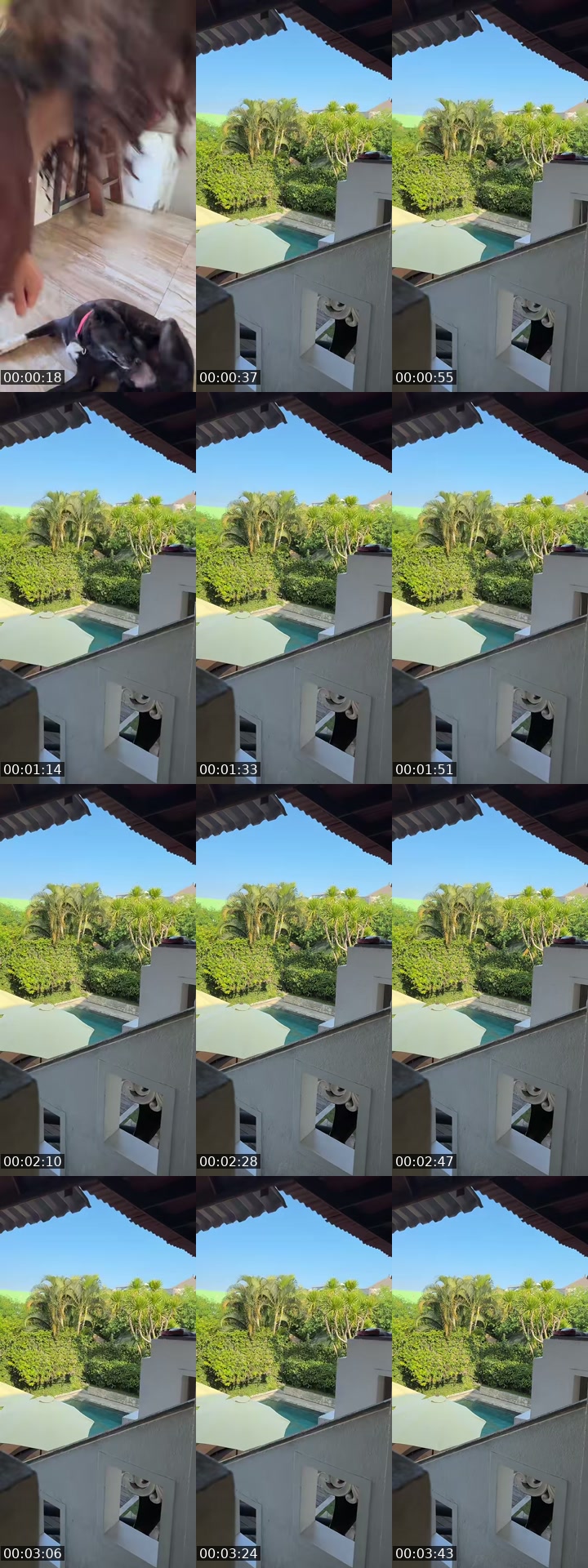 @amazonicee TikTok live from 2026-07-04