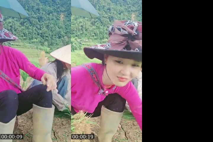 TikTok live: Hello everyone by @lythithuy0306