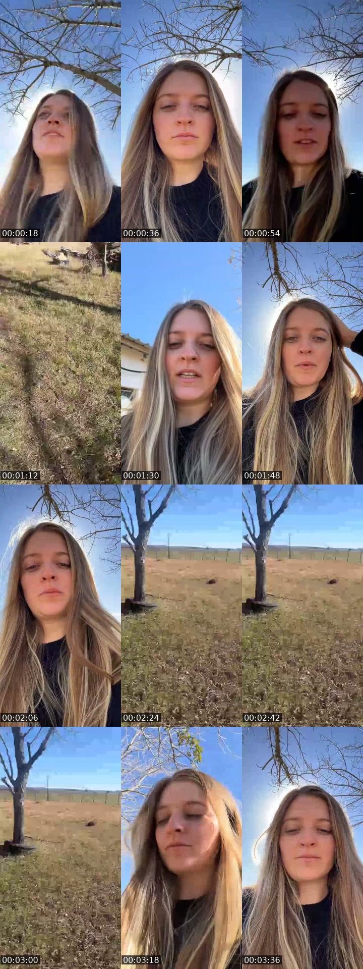 TikTok live: Día de campo by @lualderete5