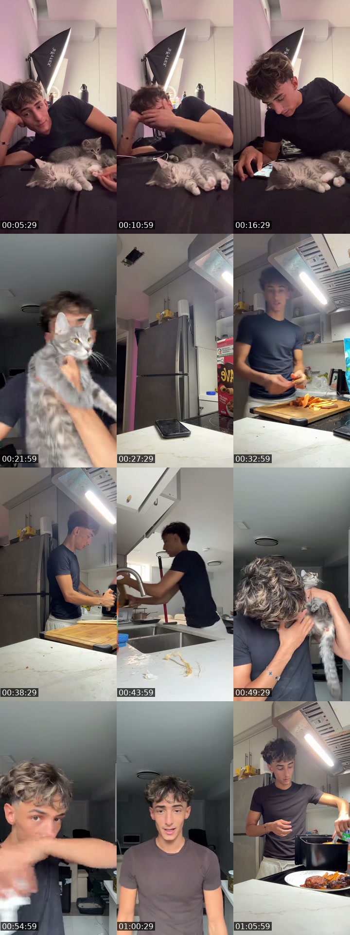 Syria TikTok live: Meow by @mobe20007