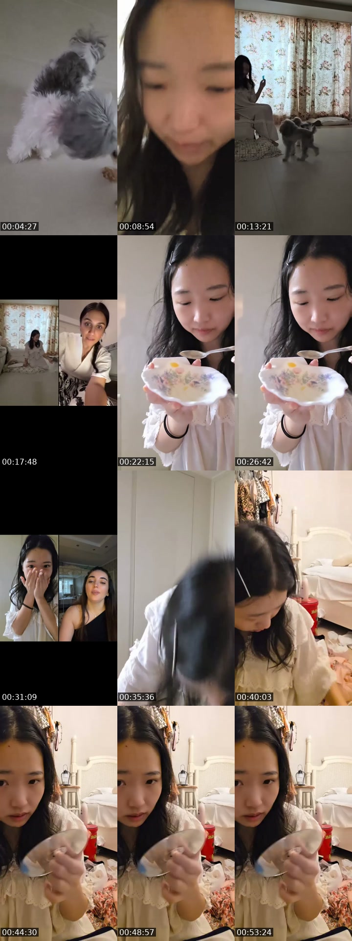 TikTok live: Here to show u my dogss by @choicessmaker