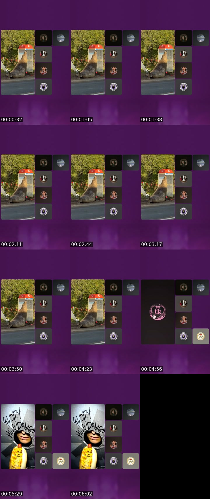 TikTok live: Matriarchal Mongrels by @heliosfibbo