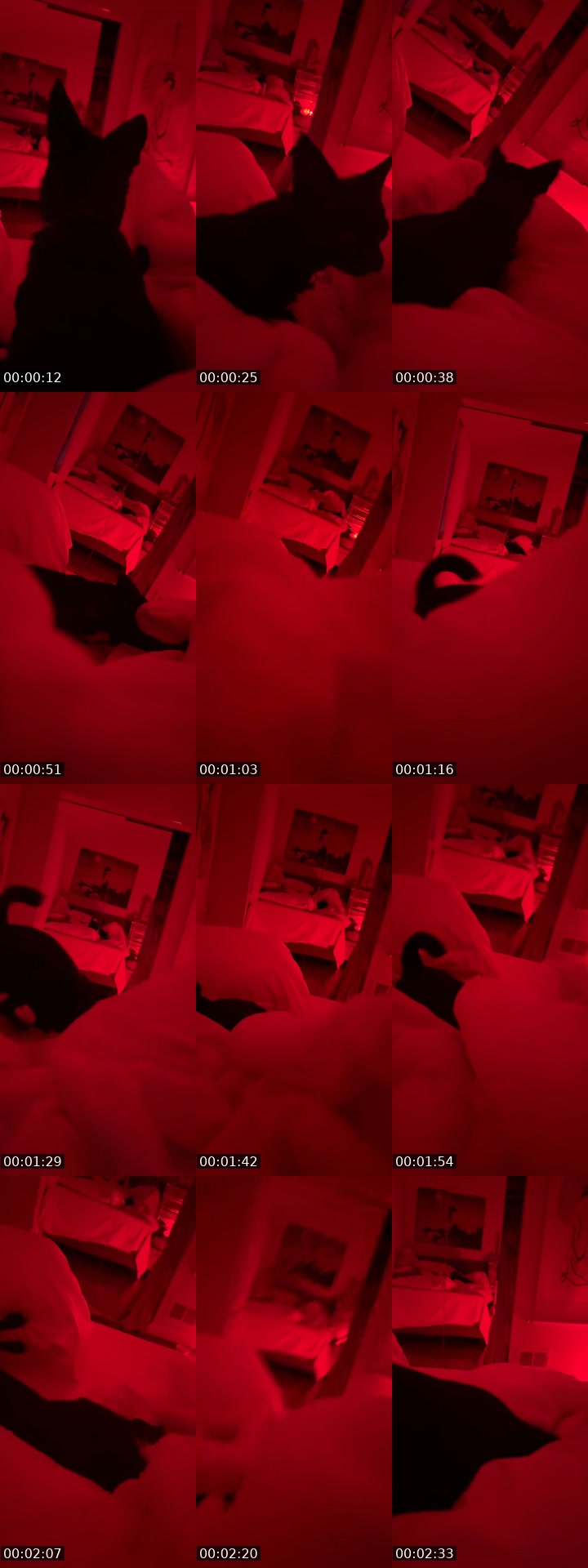 TikTok live: Red by @star_love_angel