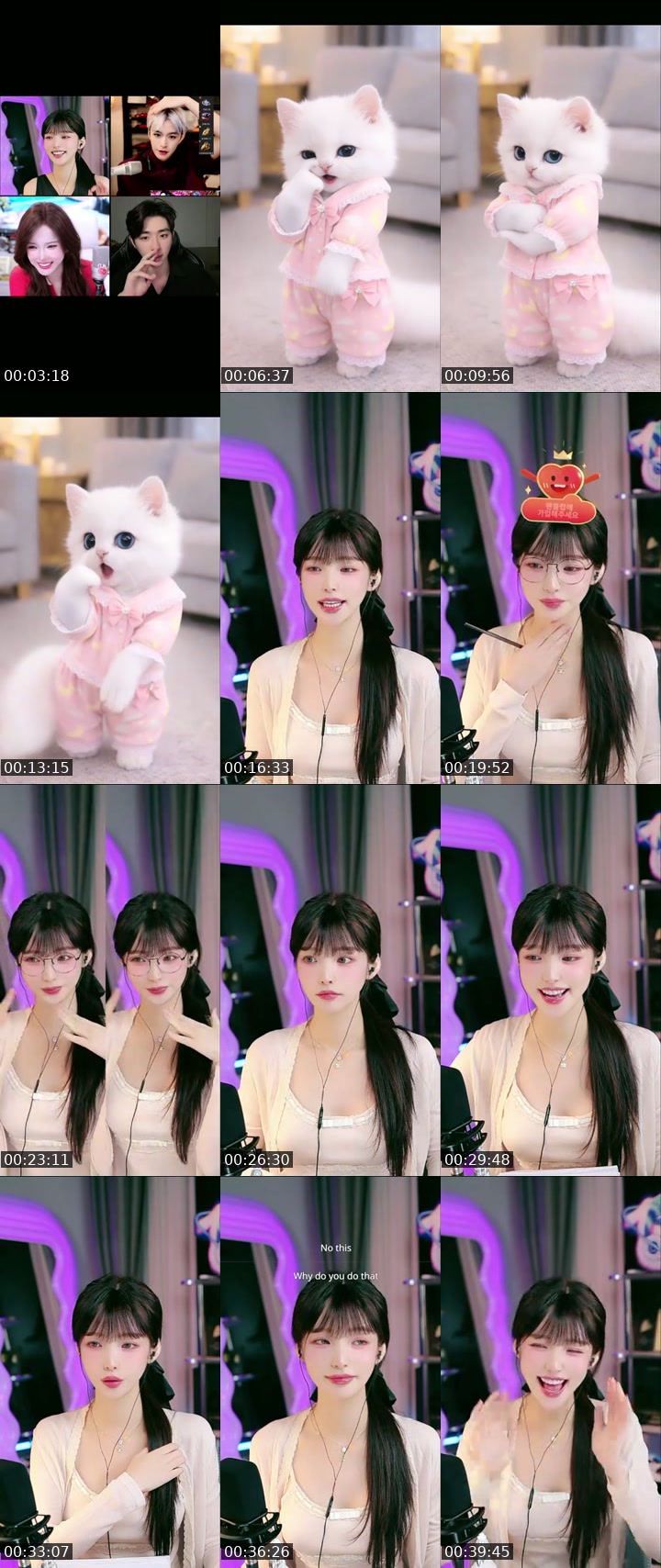 TikTok live: Let's Go A1🐈‍⬛🐾 by @s_seoah