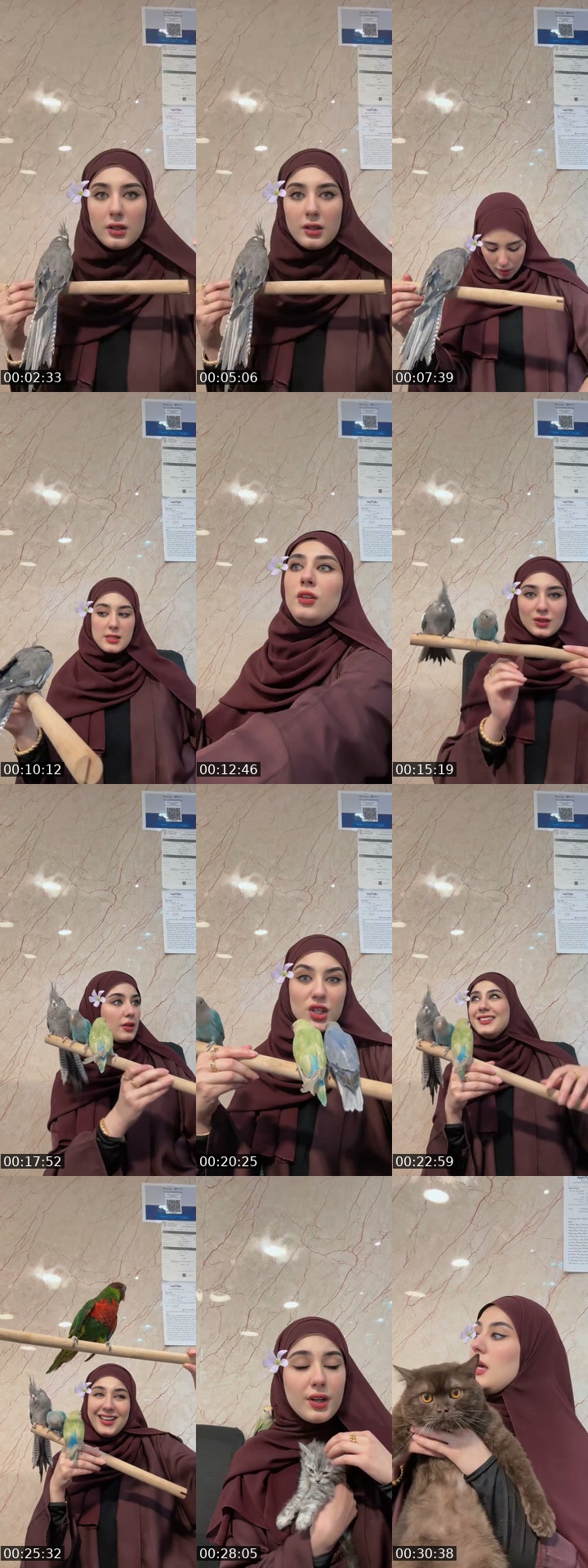 @fatimaalhawaj94 TikTok live from 2026-07-05