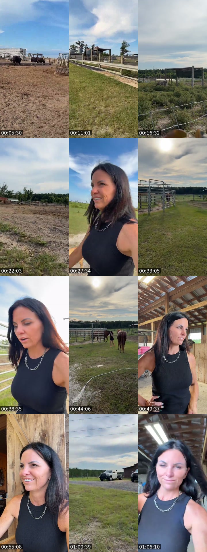 TikTok live: Sundown Cattle Co by @stephonthemorningride