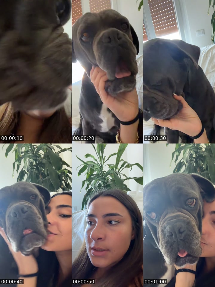 @clickquaglio TikTok live from 2026-07-06