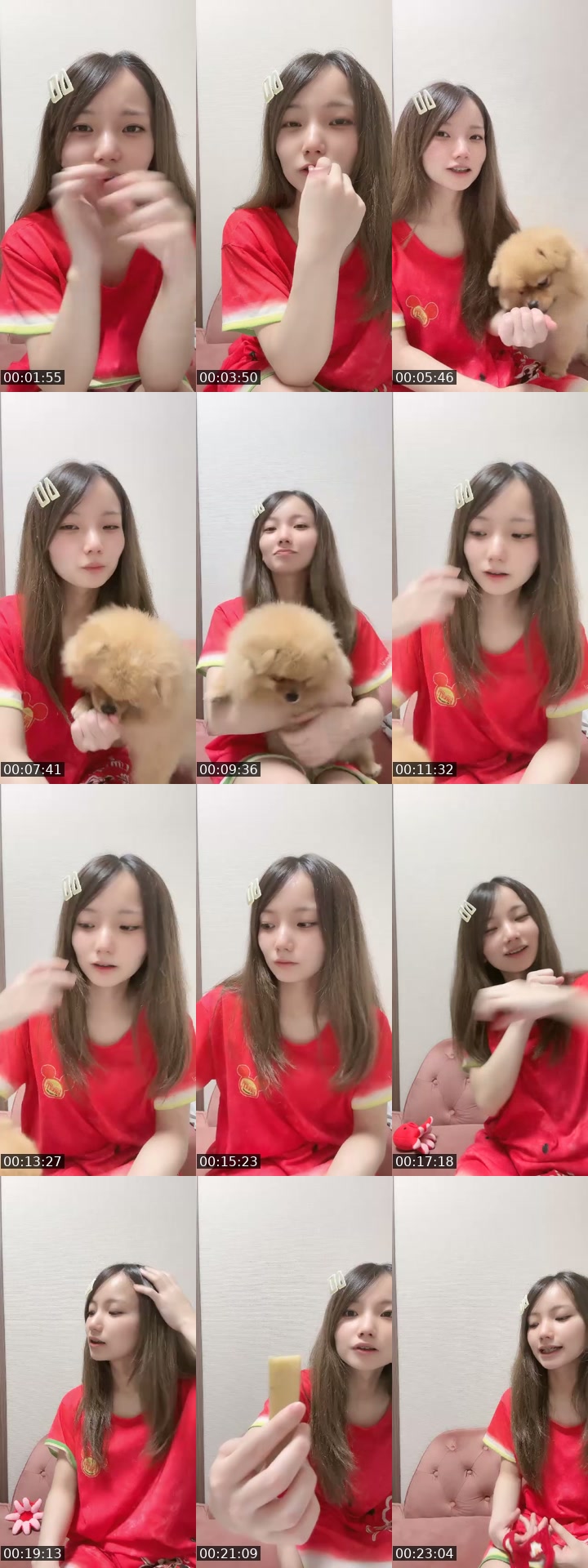 TikTok live: わんわん！ by @omochi00mochimochi