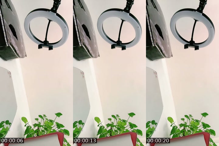 @windeerccs TikTok live from 2026-07-07