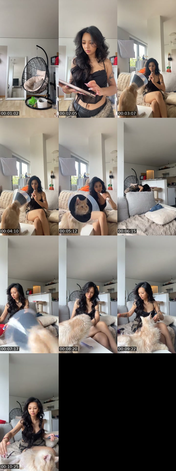 TikTok live: Lets Go LIVE! by @anny.angsthase