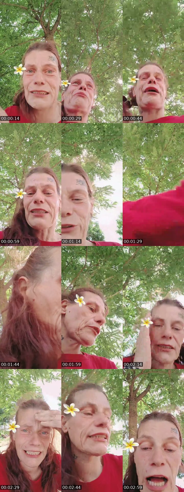 TikTok live: kijker kiest storytime by @taschaluna0