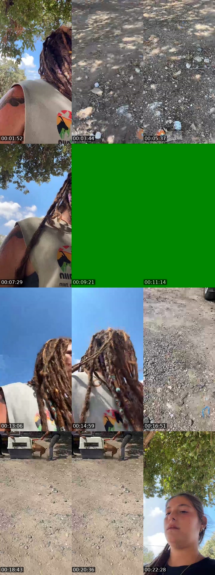 @shanti.farm.rescue TikTok live from 2026-07-07