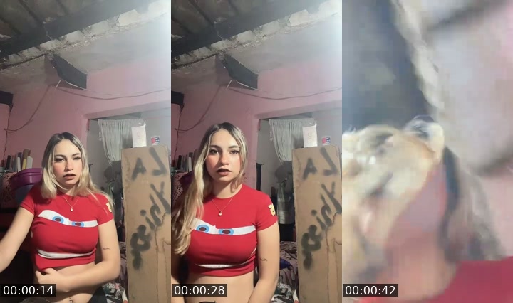 Nigeria TikTok live: Volvii by @stefany_steineinn