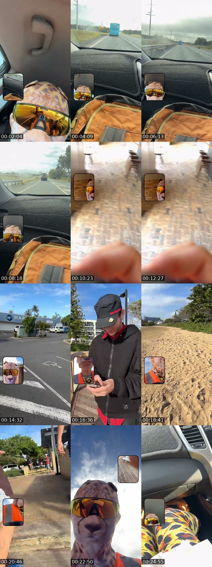 Australia TikTok live: Bundy!! by @catman6701