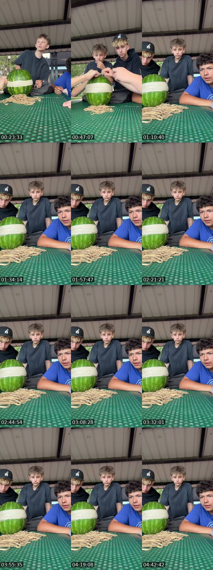 TikTok live: Watermelon stream by @jaxton17782