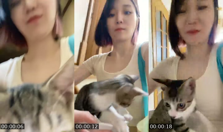 TikTok live: 0708おつかれさま by @nyanchanuniverse