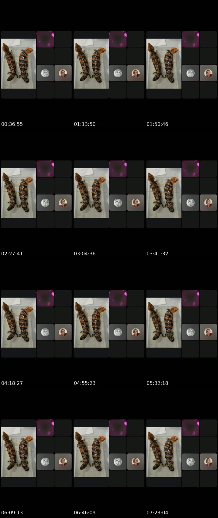 @ericaeverywhere70 TikTok live from 2026-07-09