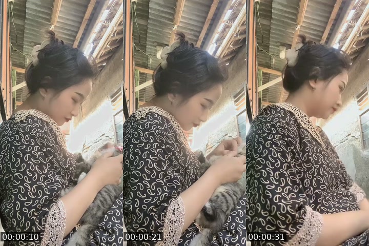 TikTok live: bumil gbut by @bebyvy3