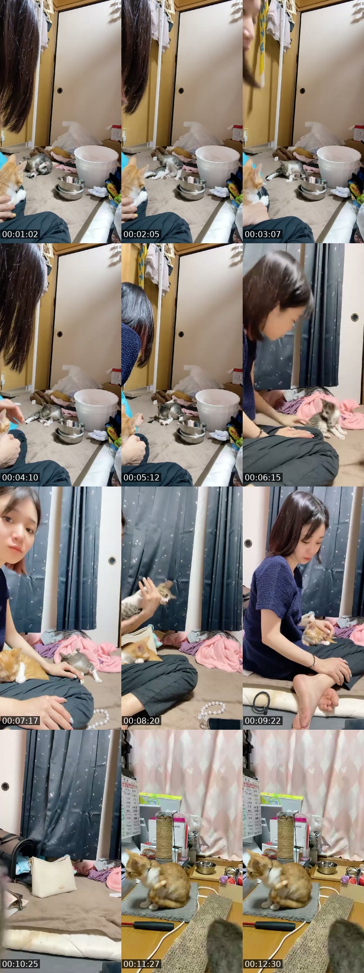 TikTok live: 0709手術してきたよ！ by @nyanchanuniverse
