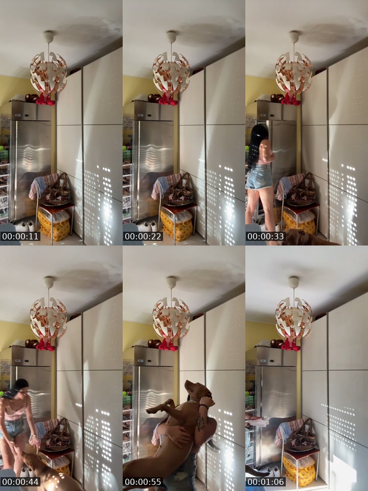 TikTok live: Compagnia by @la_gatta__