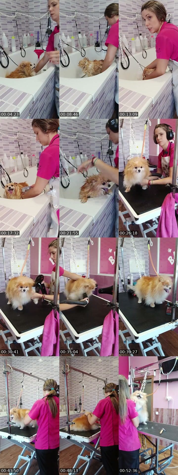 TikTok live: Mañaneos Barbudogs by @barbudogs