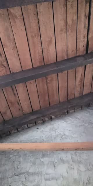 TikTok live: a gadamy se by @_agniesia08_
