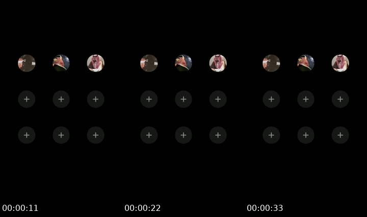 TikTok live: قفلو لي المعرض 🥺 by @sos_of