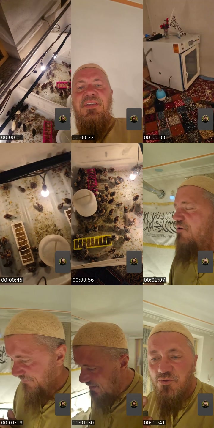 @jeanlouislesoumis TikTok live from 2026-07-11