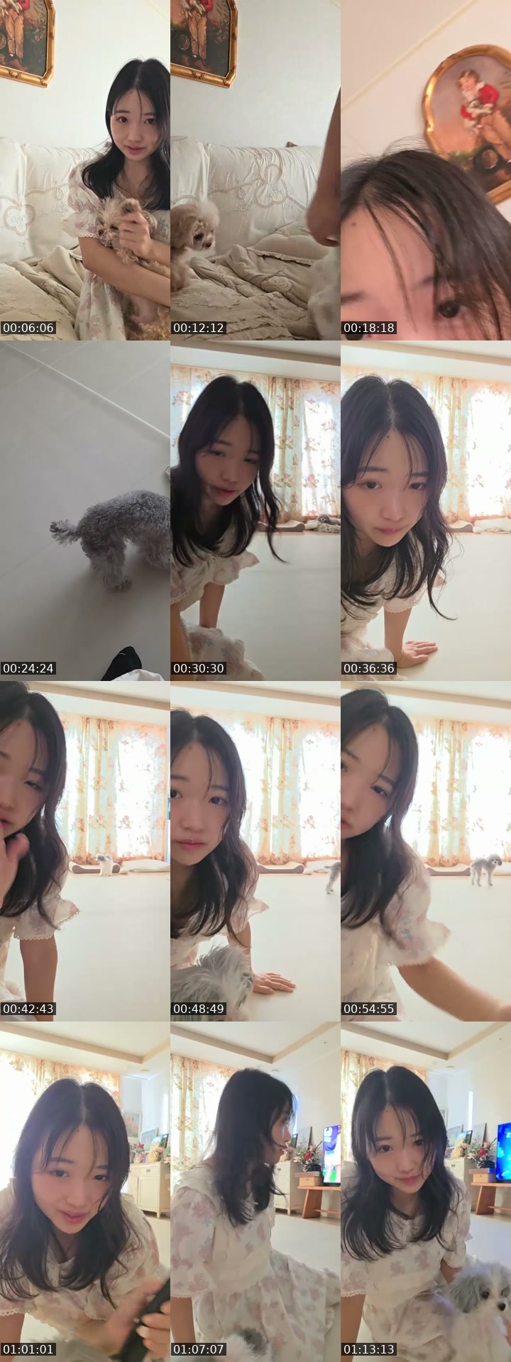 TikTok live: Cute puppy mornint by @choicessmaker