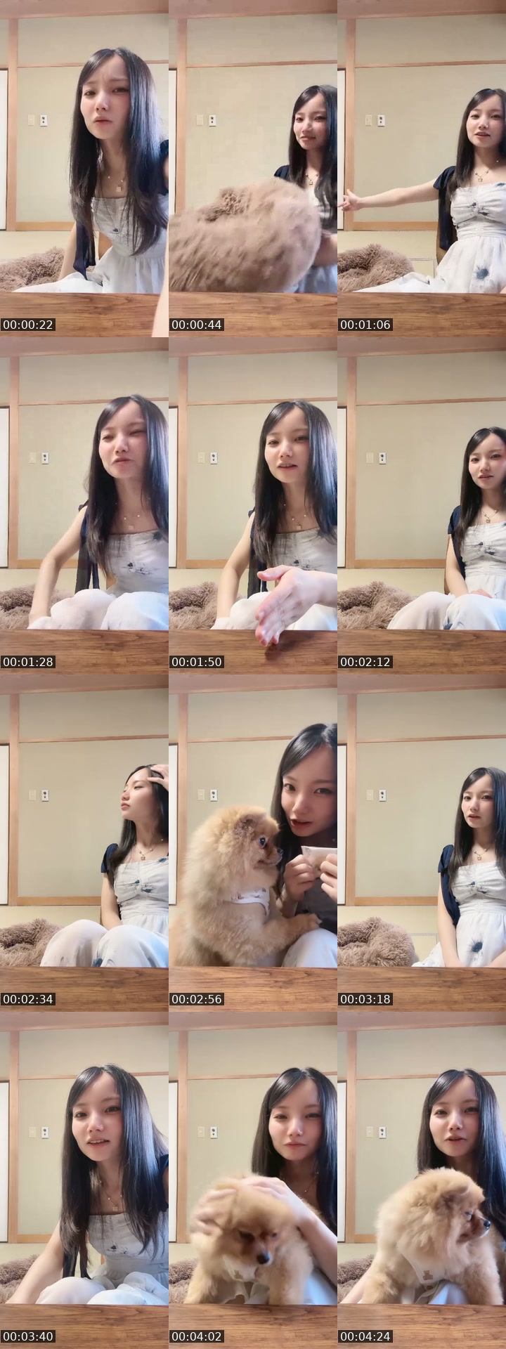 TikTok live: わんわん by @omochi00mochimochi