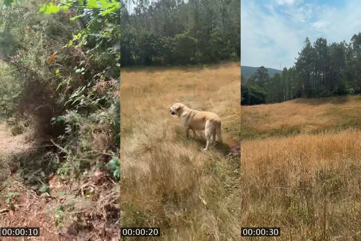 TikTok live: Iluminamos galería? by @criisthiinaa