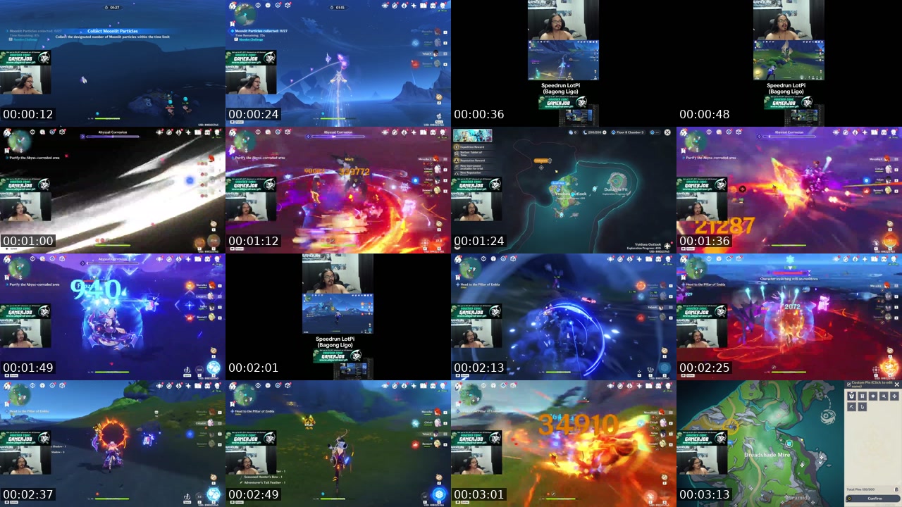 TikTok live: Speedrun LotPi by @gamerjob14