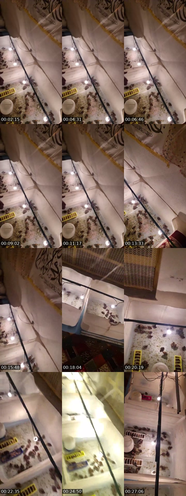 @jeanlouislesoumis TikTok live from 2026-07-11