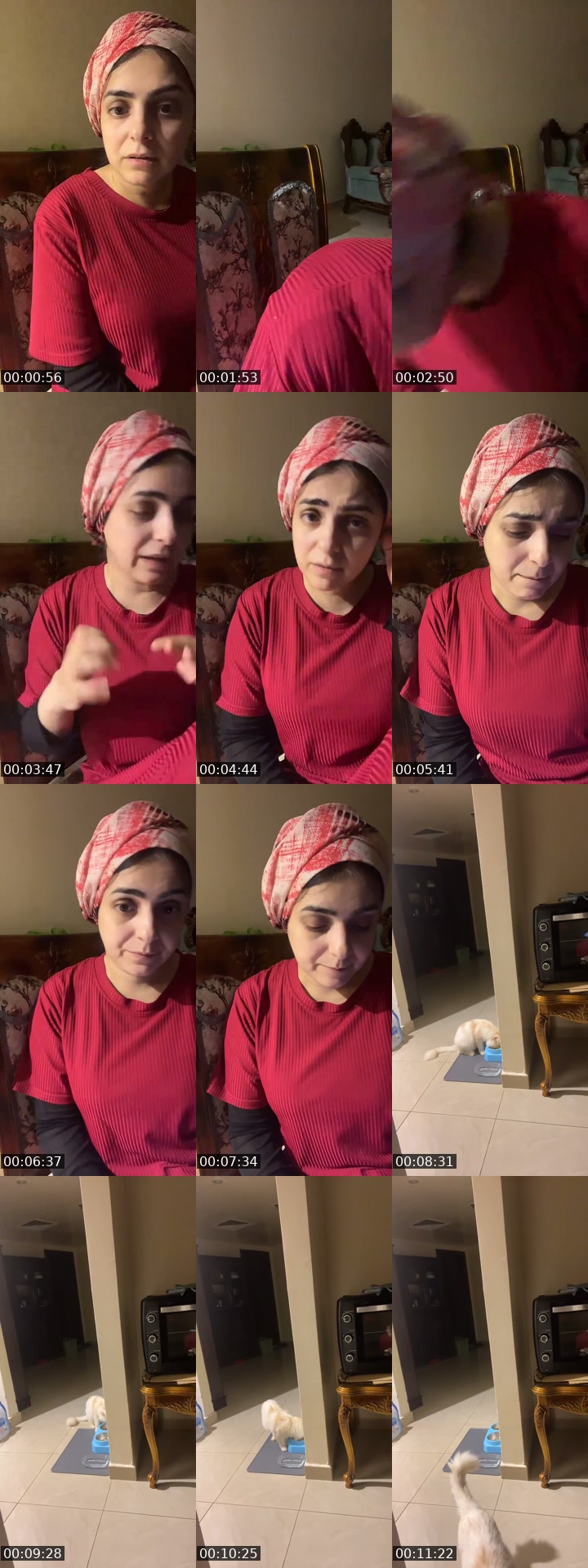 @leooooo2424 TikTok live from 2026-07-11