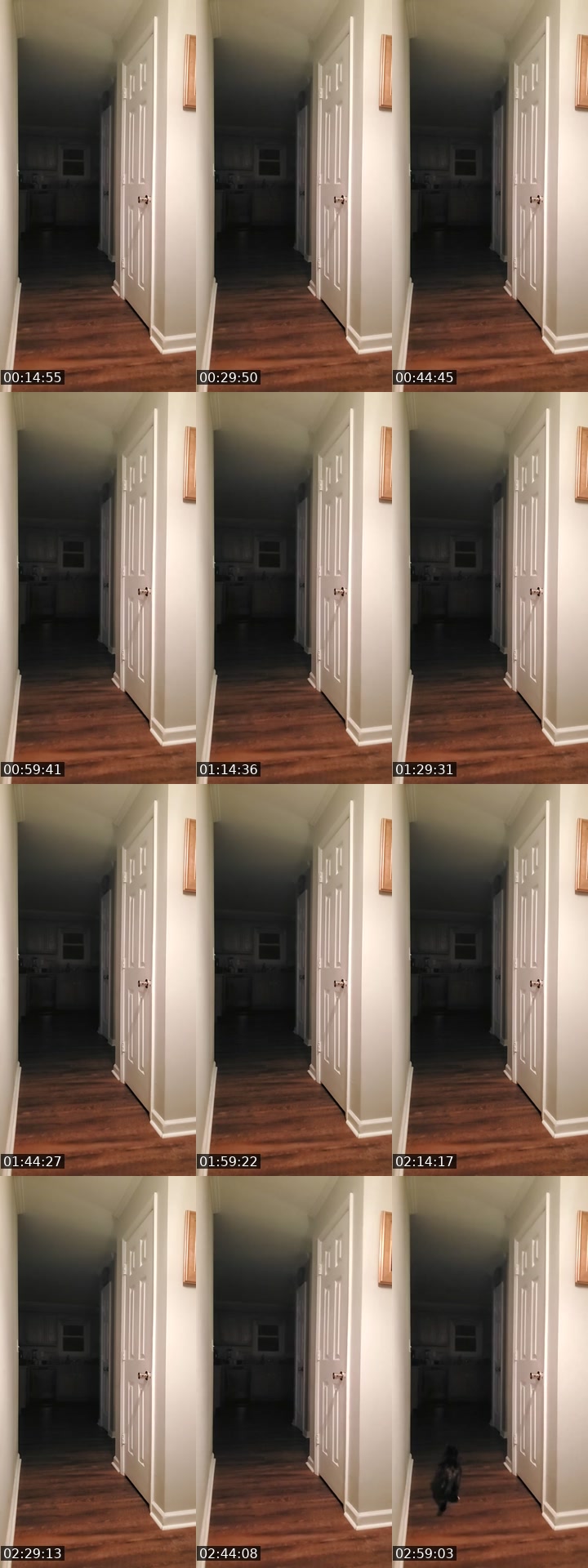 TikTok live: basement door watch by @authorkyleanthony