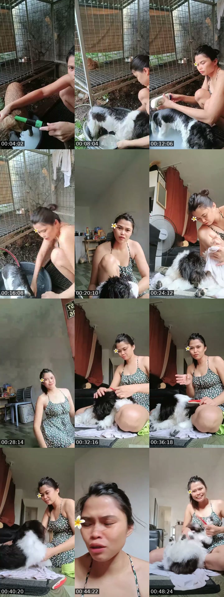 @gela001 TikTok live from 2026-07-12
