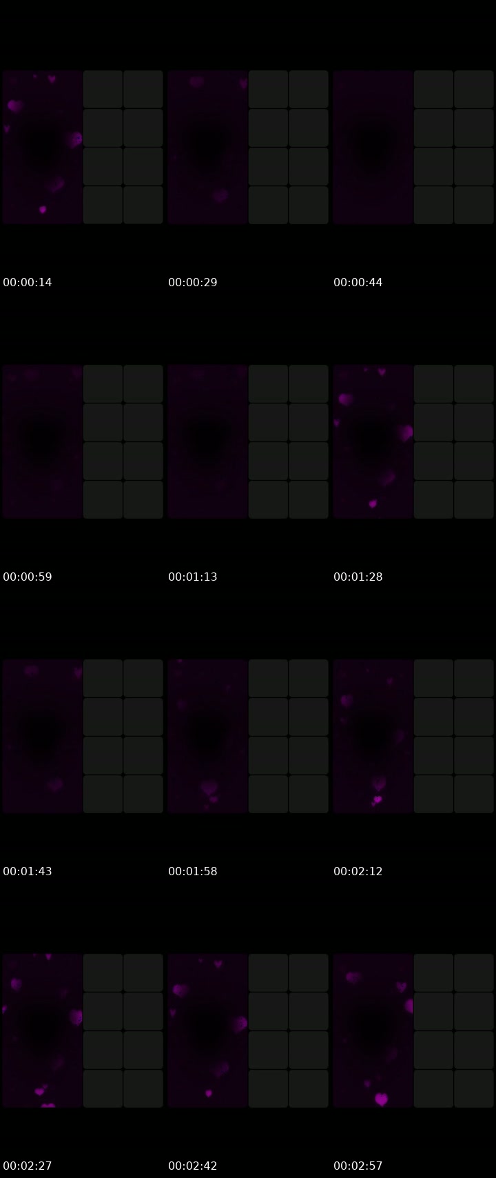 @ericaeverywhere70 TikTok live from 2026-07-12
