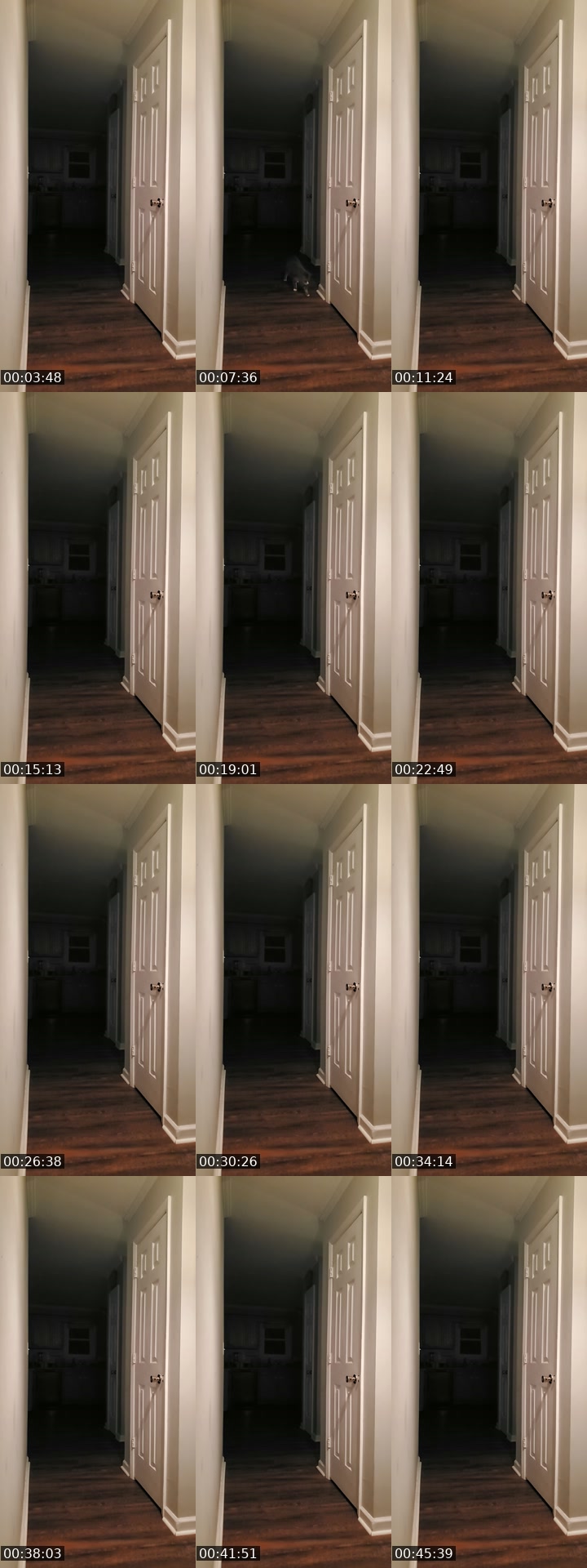 TikTok live: basement door watch by @authorkyleanthony