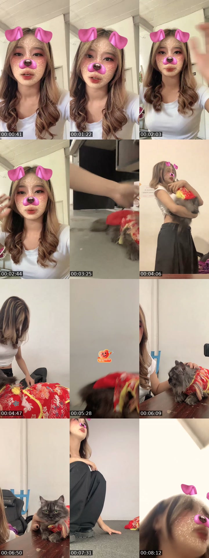 TikTok live: Jalan by @quennlilyy1