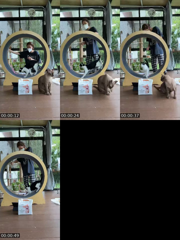 @tuazorfamily TikTok live from 2026-07-12