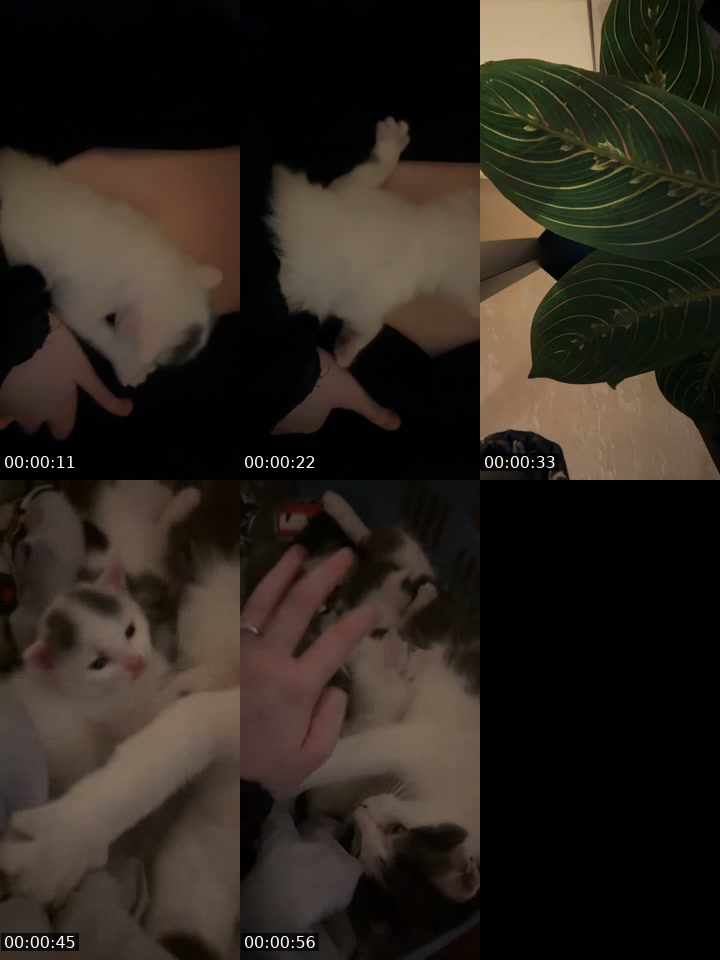 TikTok live: 19+ - yapping by @unreleasedcurse
