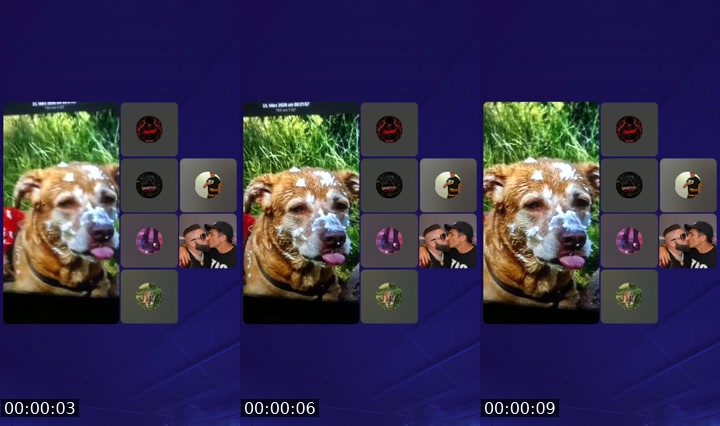 @chaotischer77 TikTok live from 2026-07-13
