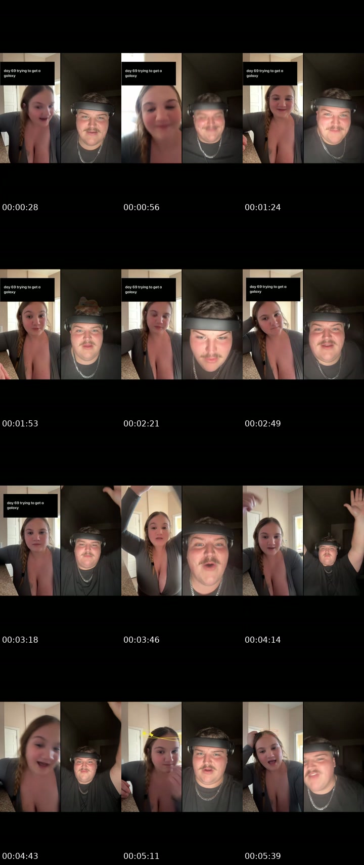 TikTok live: lion by @avasophiaa14