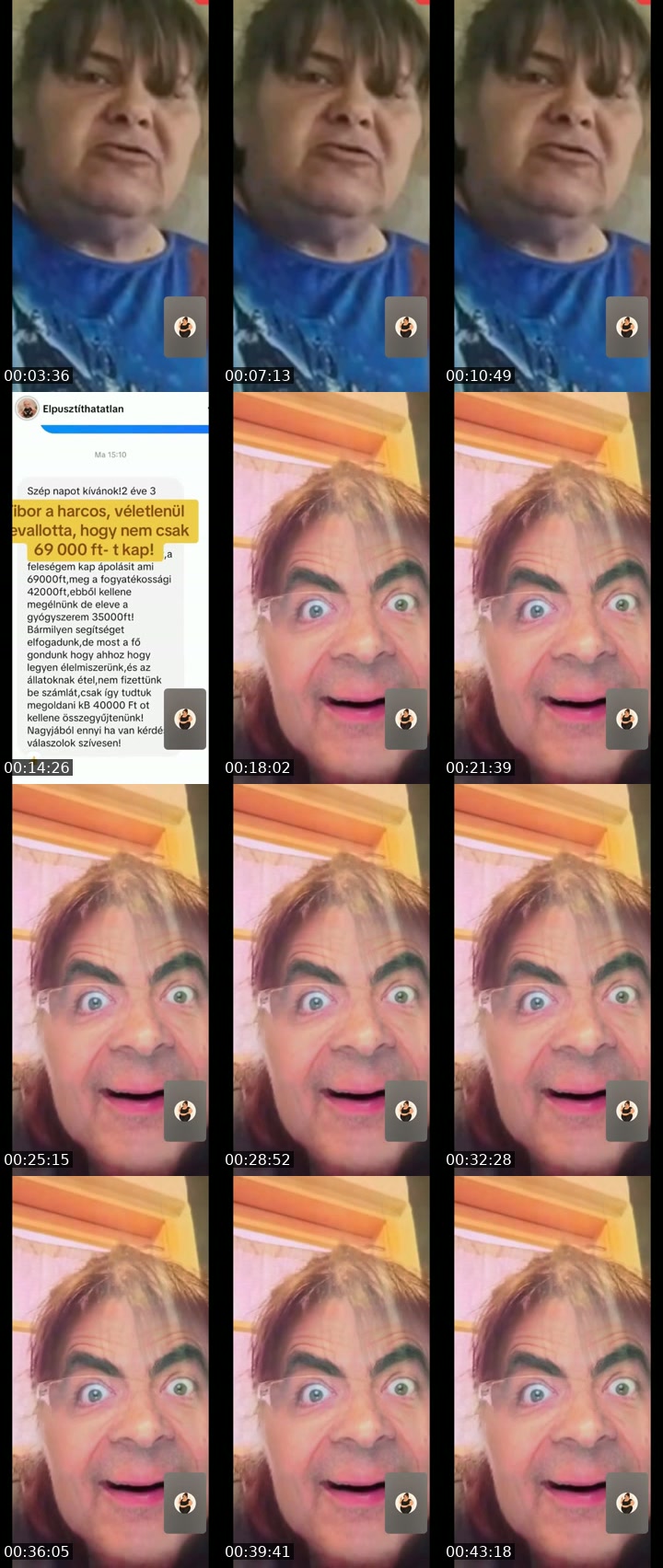 @nembajnesirj Hungary TikTok live from 2026-07-13