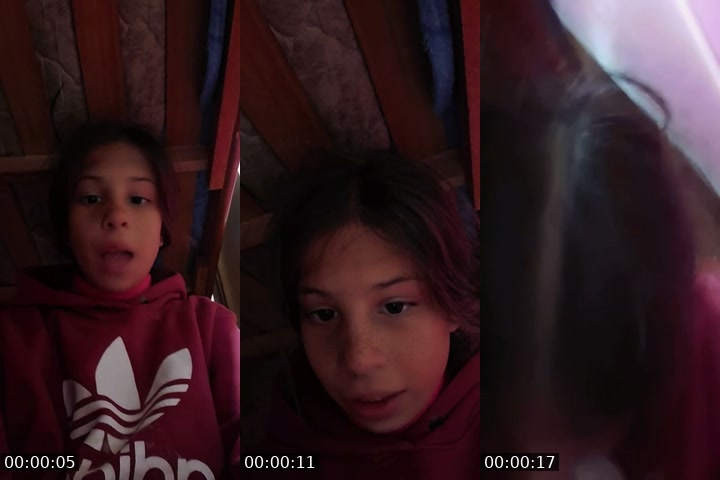 Brazil TikTok live: fale alguma coisa que respondo! by @n1gu3m5