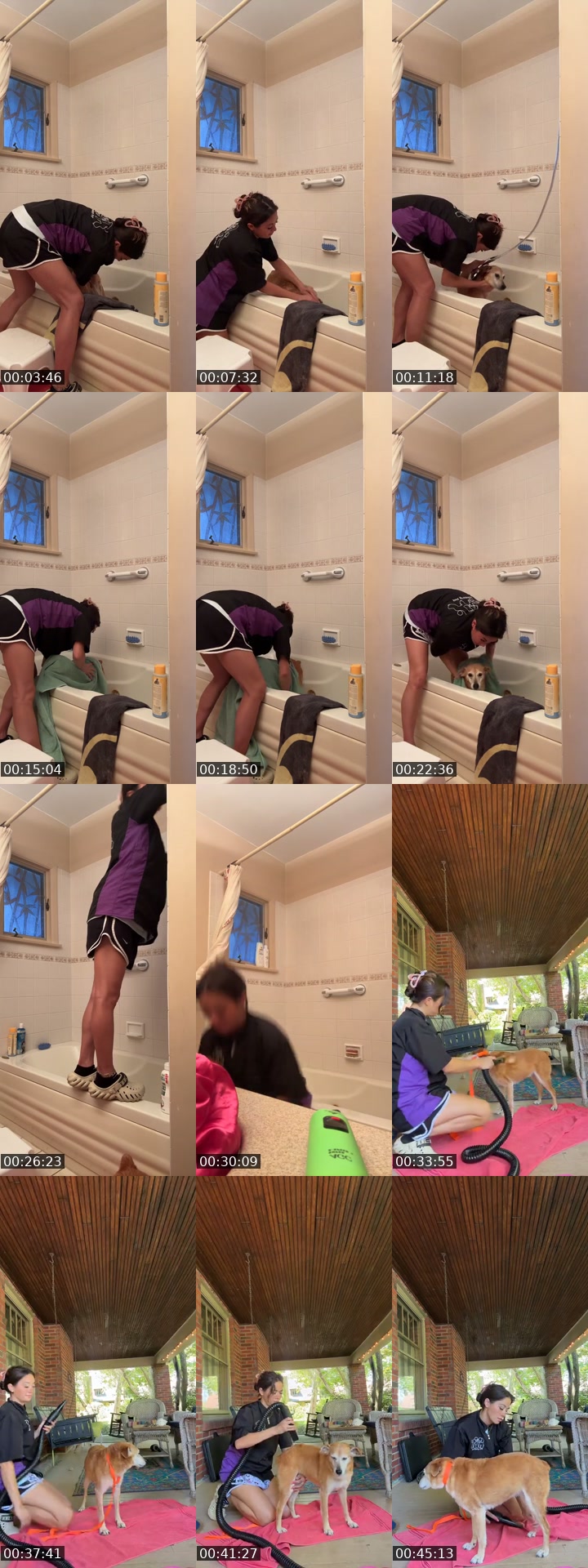 @sryforannoyingyu TikTok live from 2026-07-13