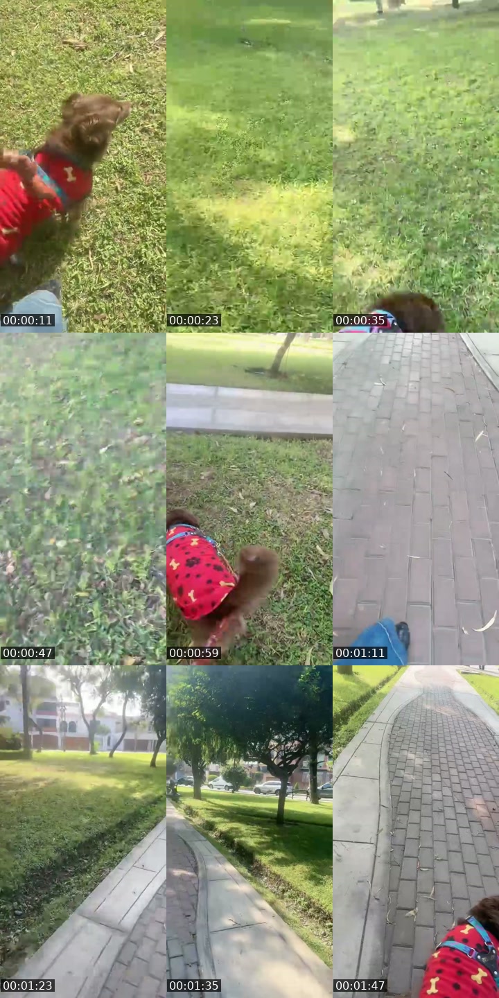 @mlhvnmiiv228 TikTok live from 2026-07-14